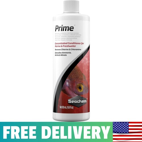 Prime fresh and - prime,